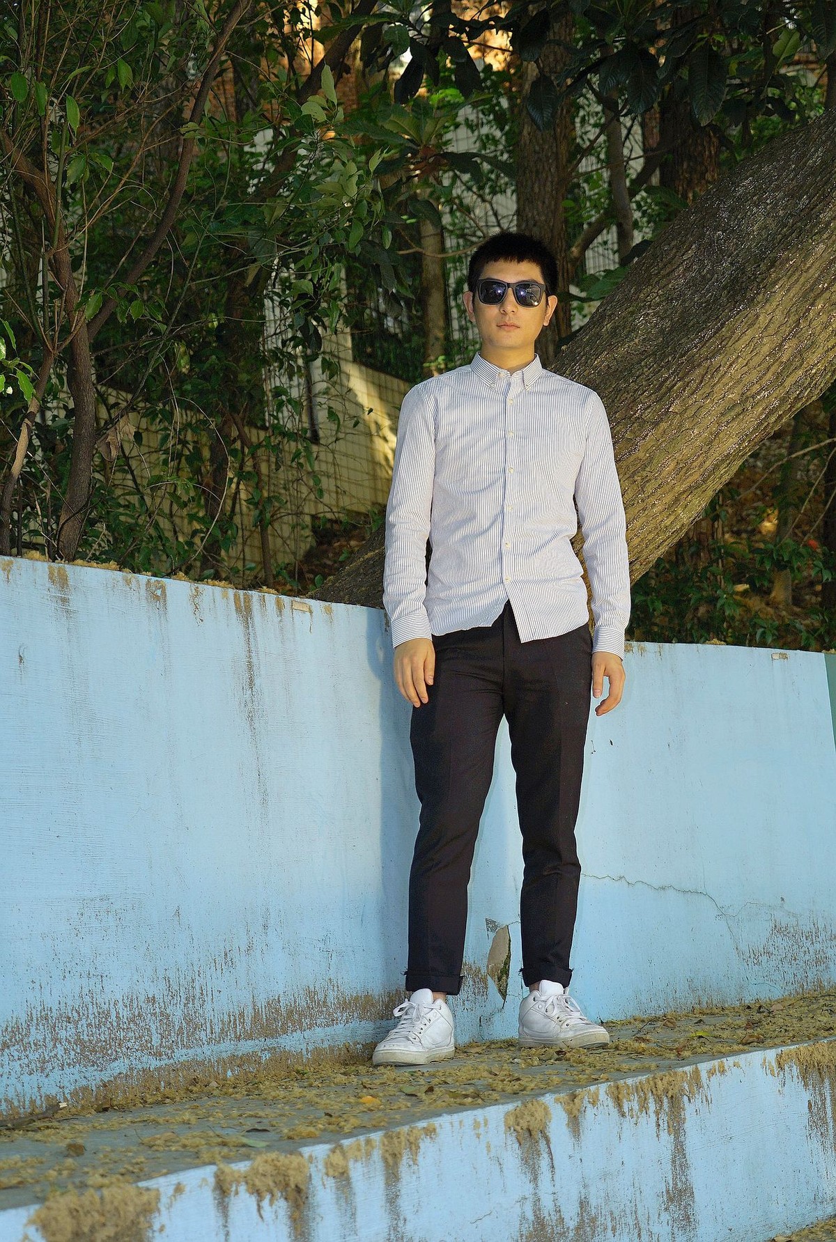 清脆的太阳12345